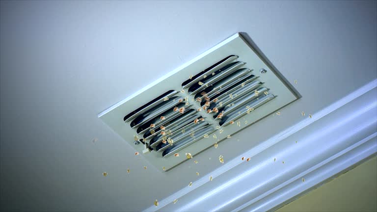 Best Local Air Duct Cleaning Services  in Grayson Vley, AL